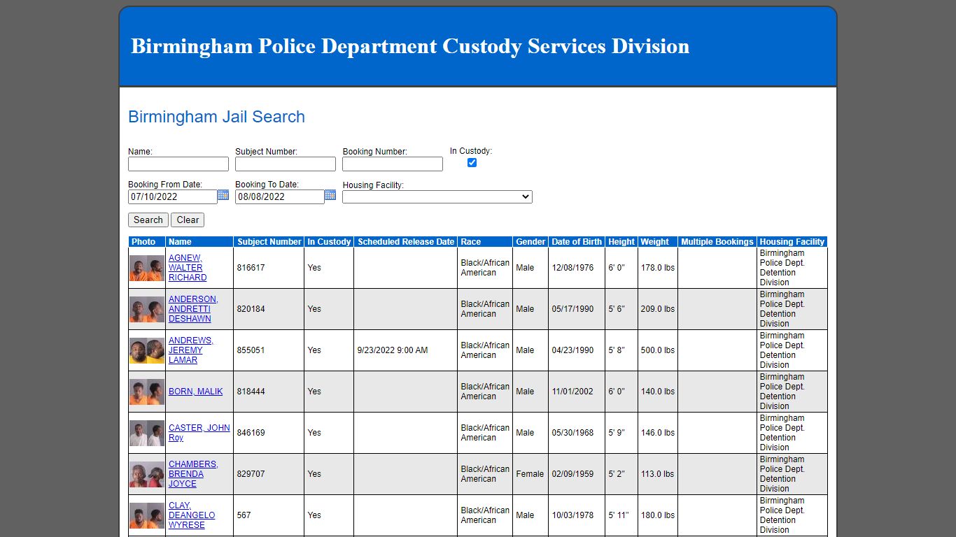 Birmingham Jail Search